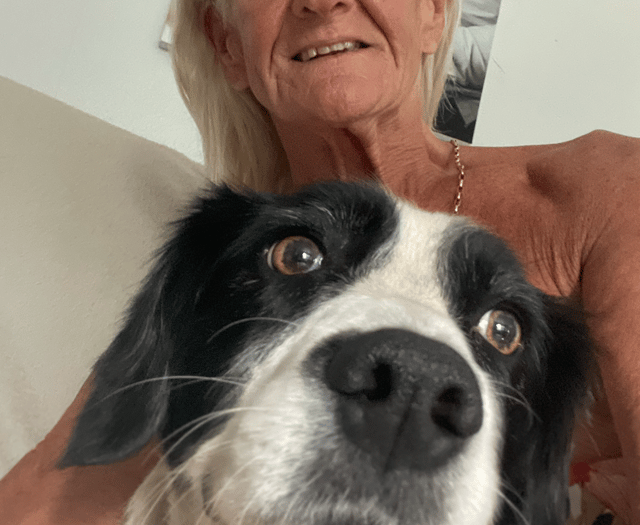 Dog contracts E. Coli from river