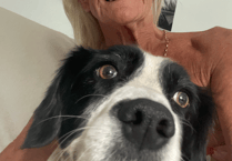 Dog E. Coli case raises river safety concerns