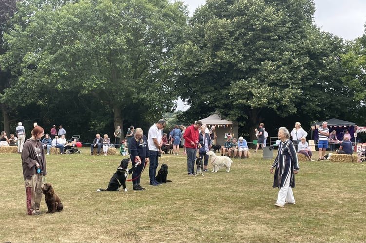 Much Marcle Summer Shindig dog show