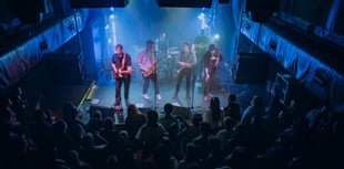 Year of the Dog's ambitions and challenges