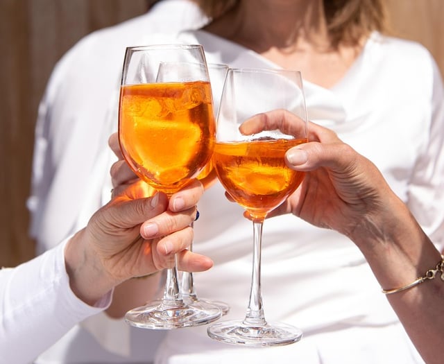  Alcohol licence bid for Llandewi Rhydderch premises