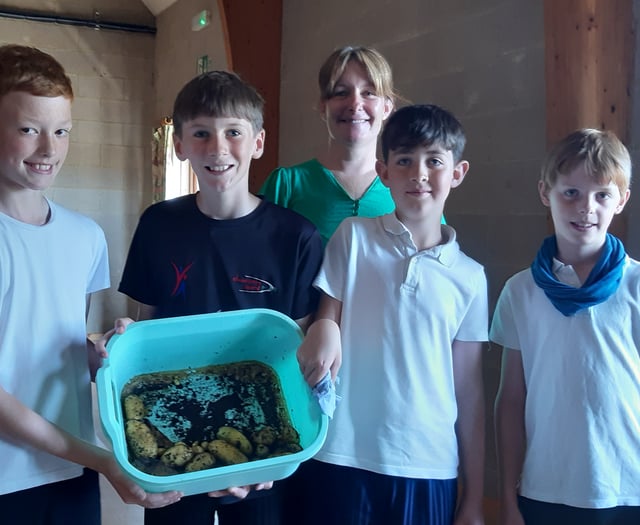 Records tumble at local heart charity’s Potato Growing Challenge