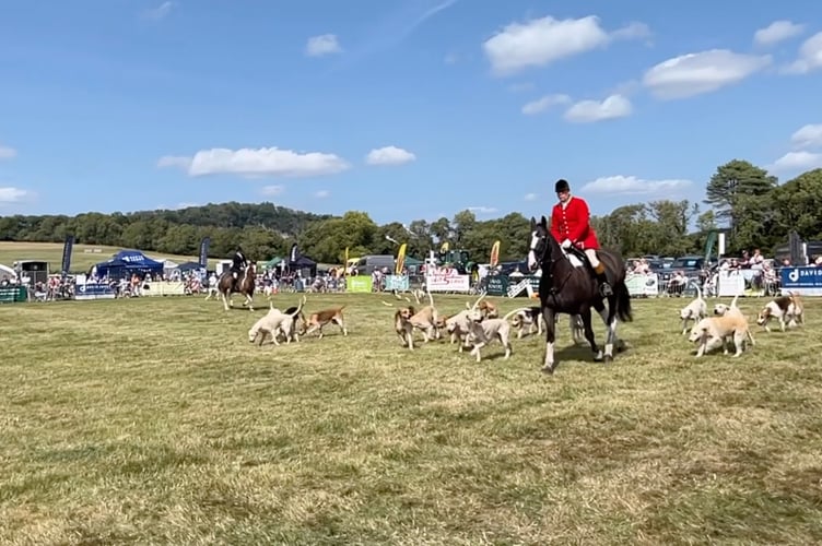 A display by the Curre and Llangibby Foxhonds.