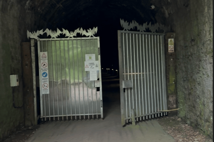 Tiddenham tunnel 