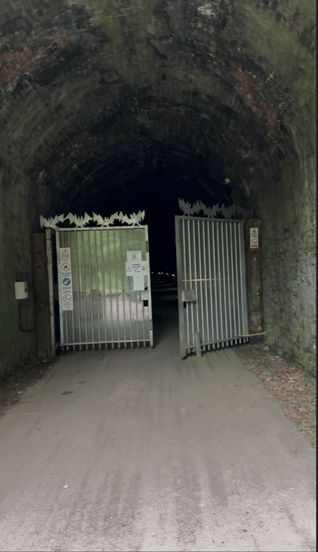 Tiddenham tunnel 