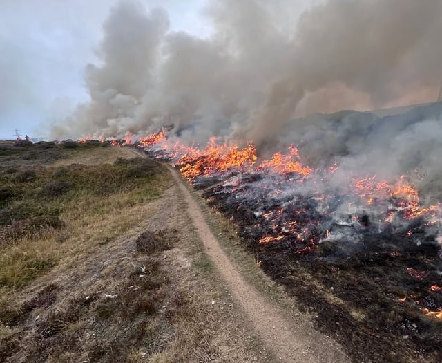 Mountainside wildfire started deliberately, say firefighters