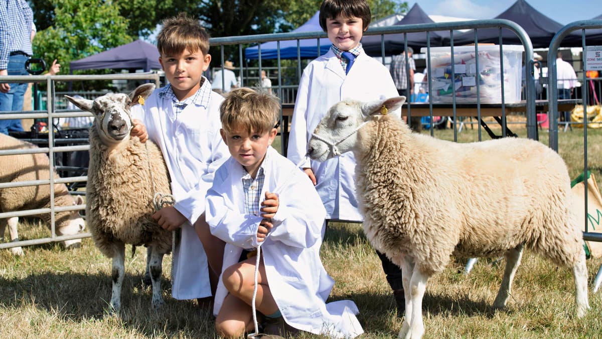 Monmouthshire Show returns with sunny success and livestock classes ...