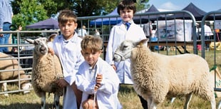 Monmouthshire Show success with livestock return