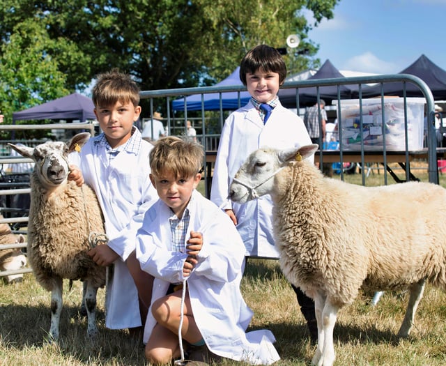 Monmouthshire Show success with livestock return