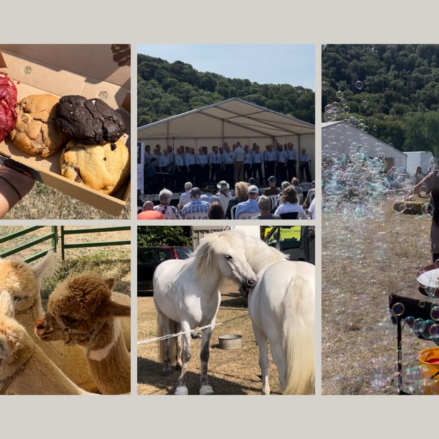 Monmouthshire Show: Fun for everyone this August 