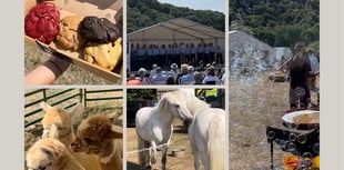 Vibrant Monmouthshire Show: A reporter’s insight