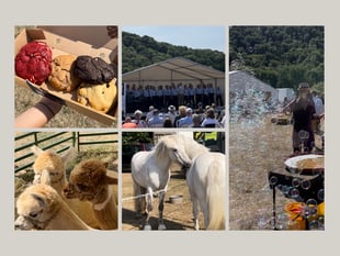 Vibrant Monmouthshire Show: A reporter’s insight