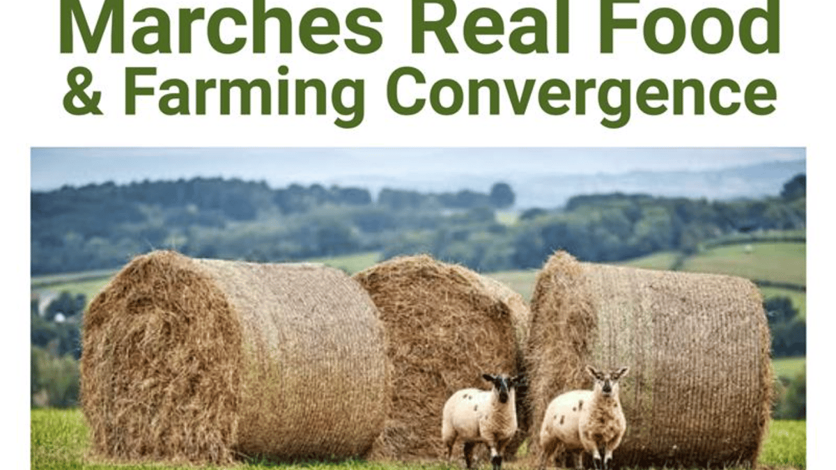 Exploring Monmouthshire's Local Food Future With Agroecology | Monm...