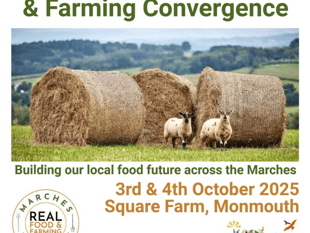 Monmouthshire's Food Future with Agroecology