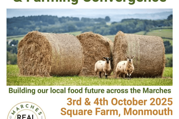 Marches real food and farming convergence 