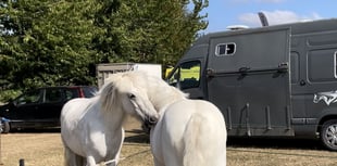 WATCH: Explore Monmouthshire Show: Activities and Cars