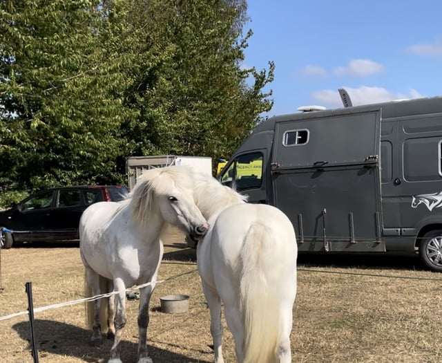 WATCH: Explore Monmouthshire Show: Activities and Cars