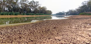 News from the FUW with Ian Rickman