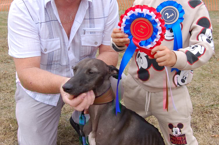 Best in Show