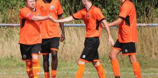 Kingfishers' wings clipped by last-gasp leveller