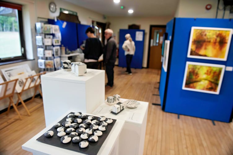 A preview of the exhibition in Pelham Hall