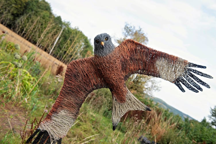 Red kite by Hayley Jones
