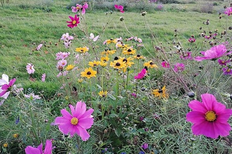 Residents in Liskeard are being encouraged to help make a difference by joining in two community gardening events in the town