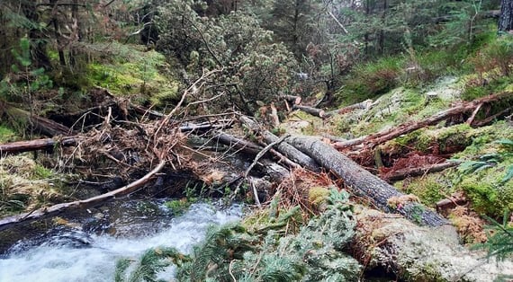 Leaky dam
