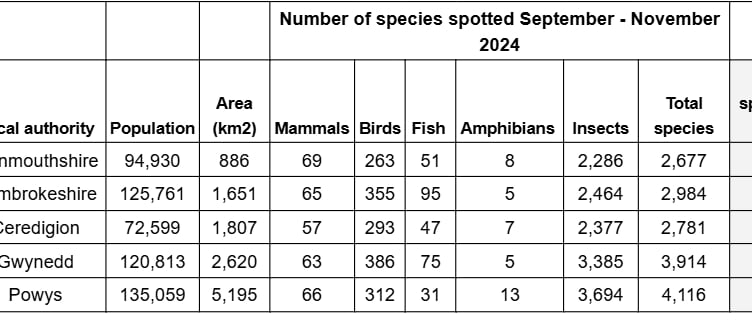 Wales’ best places to spot wildlife this autumn