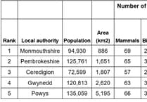 Discover Wales' top autumn wildlife spot