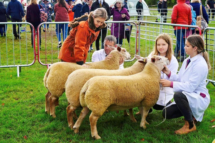 Phil, Evie and Lowri Miles see their Charollais Sheep judges