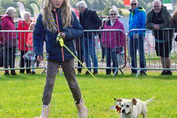 The Companion Dog Show with Xenia Scott and Wiggies from Trellech