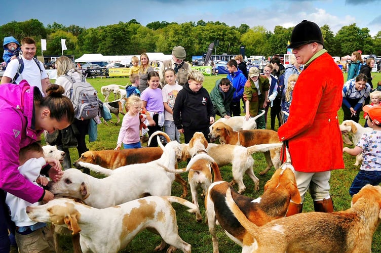 Matthew Hickmott of the Curre and Llangibby Foxhounds