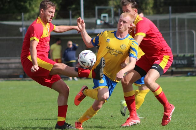 Kingfishers in seventh heaven as Fforest felled 