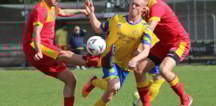 Kingfishers in seventh heaven as Fforest felled 