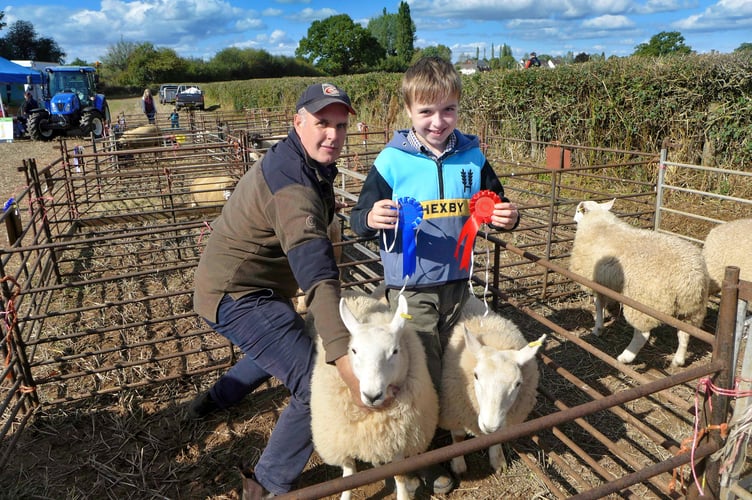 Evan Parry won 1st for commercial ewe lambs and second for breeding ewes with his North Country Cheviots