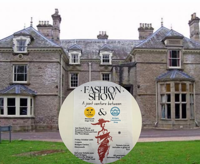 Charity shops host autumn fashion event