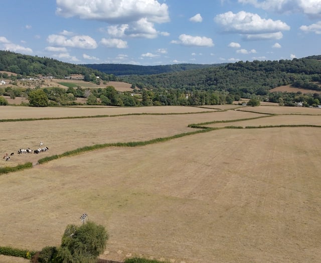 Housing plan at odds with environment watchdog