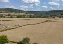 Council move forward with homes plan