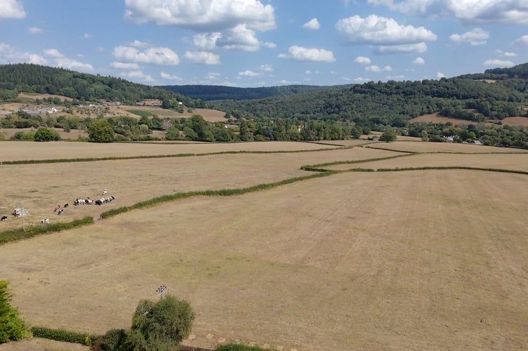 Photo of the Dixton HA4 site