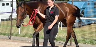 Evans above in the world of racing