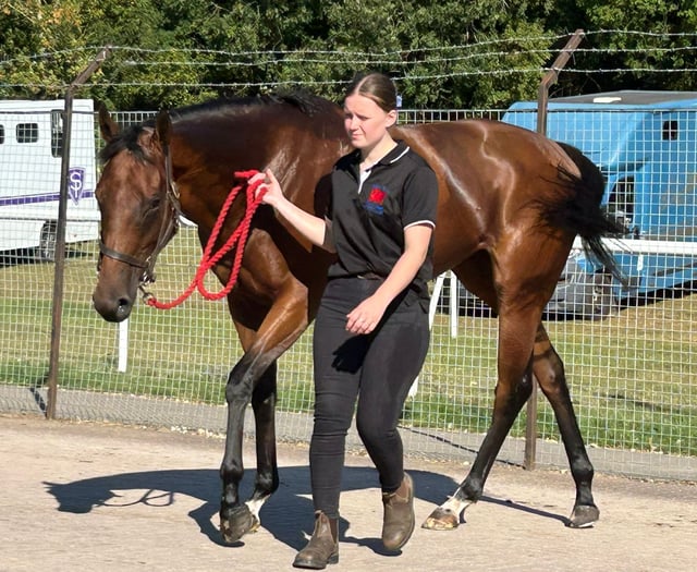 Evans above in the world of racing