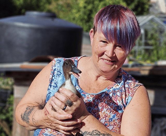 Farmer's wife's holistic haven in Monmouthshire