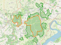 Number of wild boar remains stable