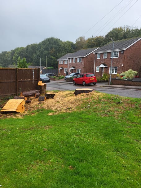 The council-owned tree in Wyesham was illegally chopped down