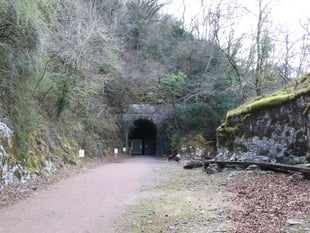 Tidenham Tunnel closes for bat hibernation