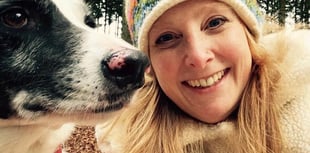 Charlie Taylor's poetry workshop inspires children