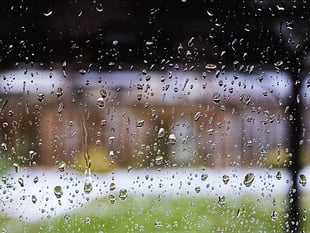 November rainfall