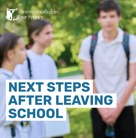 Next steps after leaving school 