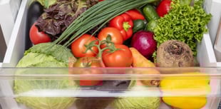 expert fridge organisation tips